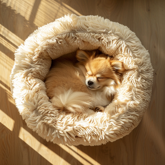 Pawra Cloud Bed Organic Cotton Pet Bed